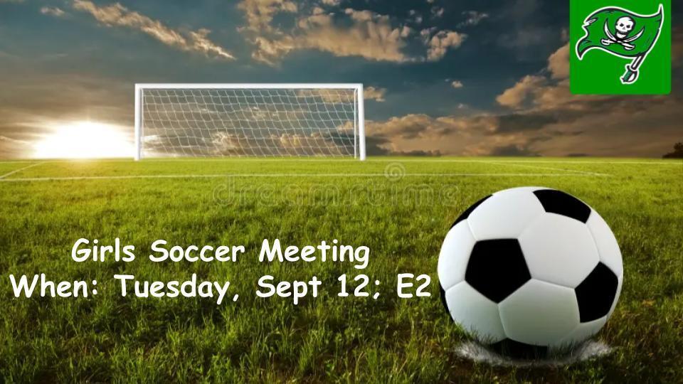 Girls Varsity Soccer Meeting Napoleon Athletics